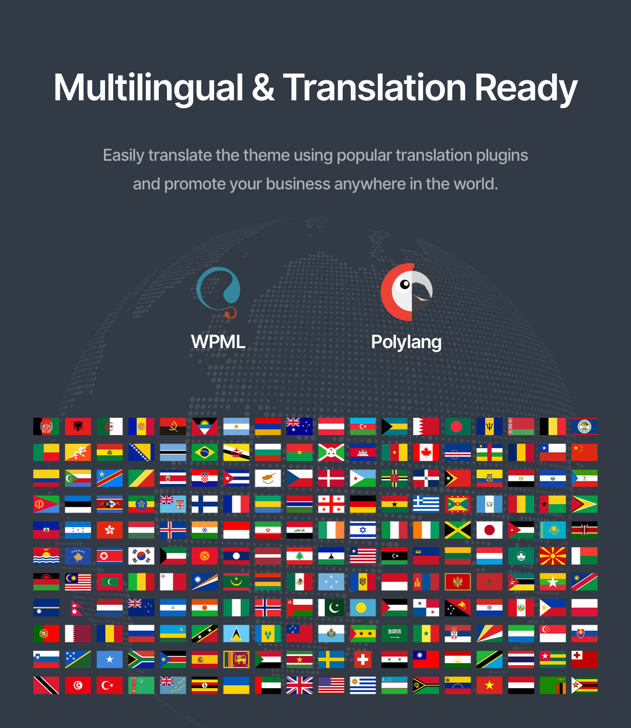 Multilingual &Amp; Translation Ready